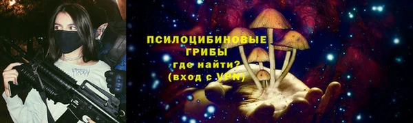 ПСИЛОЦИБИНОВЫЕ ГРИБЫ Беломорск