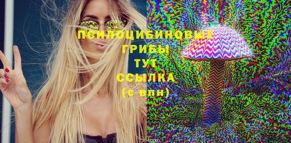 ПСИЛОЦИБИНОВЫЕ ГРИБЫ Белоозёрский