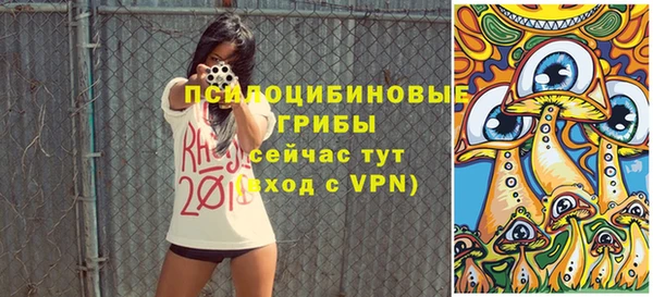 ПСИЛОЦИБИНОВЫЕ ГРИБЫ Беломорск
