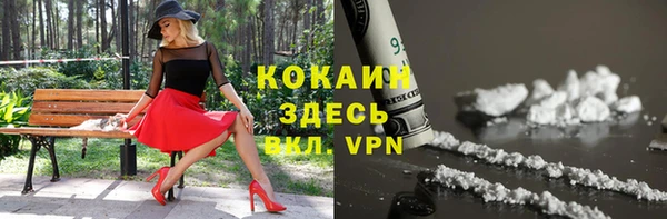 ПСИЛОЦИБИНОВЫЕ ГРИБЫ Белоозёрский
