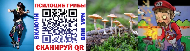 Галлюциногенные грибы ЛСД  Сертолово 