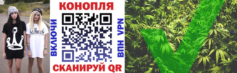 Канабис сатива Сертолово